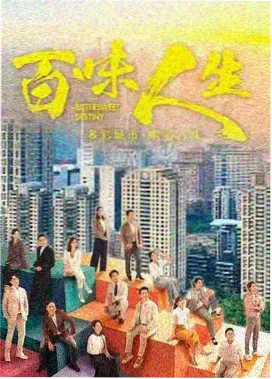 雾港谜案 犯罪悬疑剧集封面